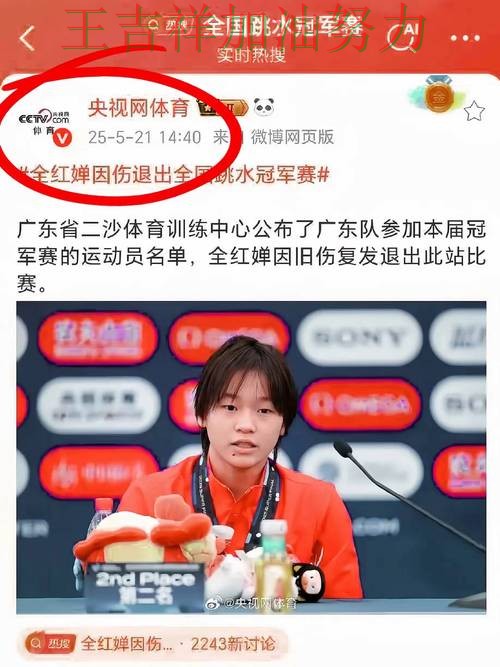 中国跳水队主场取胜延续连胜势头 赛后分析指出关键问题